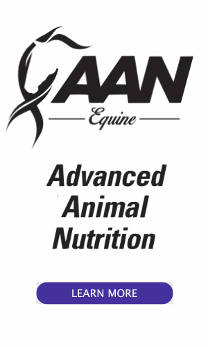 AAN.png